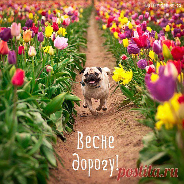 Играете в игры? Смотрите картинки и видео? – Ваша жизнь не меняется и стоит на месте( Хватит, пора что-то делать! Я работаю в интернете и готова научить всех желающих, ставьте плюсики в комментариях, пишите электронку в личку, с радостью помогу всем!!!