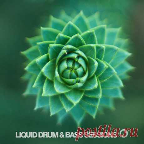 Dreazz - Liquid Drum & Bass Sessions 2019 Vol 3 Compilation Серия сборников "ликвид драм энд басс сессион" от лейбла фокуз рекордингс, которые скомпилировал ведущий одноименного подкаста ди-джей - DREAZ. Данные релиз-сборники вышли на всех стриминговых площадках в том числе на айтюнсе. Красивый драм-н-бейс тут, скачивайте и слушайте, лучшие треки