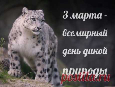 Со Всемирным днем природы
Всех сердечно поздравляю,
С окружающей средой
Жить в гармонии желаю.