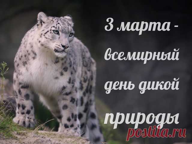 Со Всемирным днем природы
Всех сердечно поздравляю,
С окружающей средой
Жить в гармонии желаю.