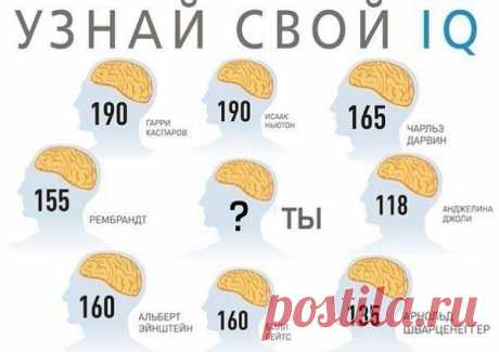 Только человек с IQ выше 155 пройдёт этот тест на общую эрудицию - Ok'ейно.fun