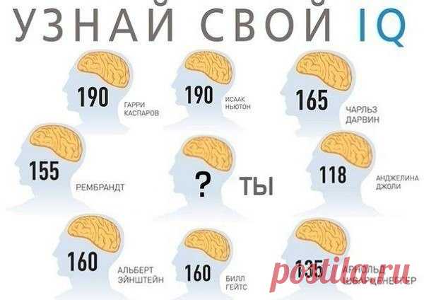 Только человек с IQ выше 155 пройдёт этот тест на общую эрудицию - Ok'ейно.fun