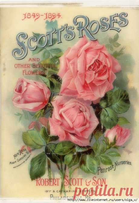 Картинки,иллюстрации для творчества | Записи в рубрике Картинки,иллюстрации для творчества | Дневник Ольга-В