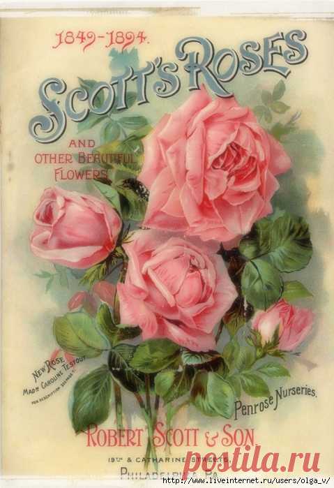 Картинки,иллюстрации для творчества | Записи в рубрике Картинки,иллюстрации для творчества | Дневник Ольга-В