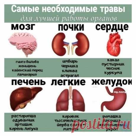 травы