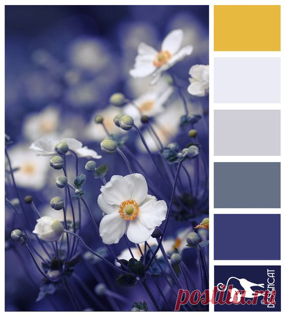 (4) Pinterest: scopri e salva idee creative