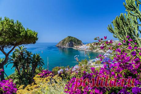 Сады La Mortella на острове Искья Ботанический сад Ла Мортелла – здесь всегда царит лето и солнце, а непобедимая жизненная сила природы никогда не иссякает.