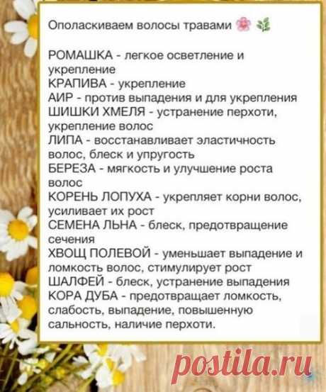 Народные средства для волос