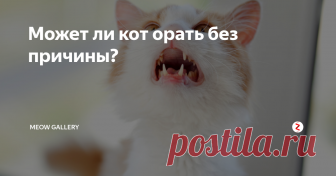 Может ли кот орать без причины? В природе и бездомные кошки для общения друг с другом мяуканье не используют. Мяуканье – это способ общения кошки со своим хозяином. Кошки некоторых пород, например, сиамо-ориентальной крупы, корниш-рексы, турецкие ангоры имеют привычку разговаривать с хозяевами: на вопрос «Как дела?» могут ответить громким «Мяу».
Но эти звуки не идут ни в какое сравнение с теми громкими воплями, которые кошки эти