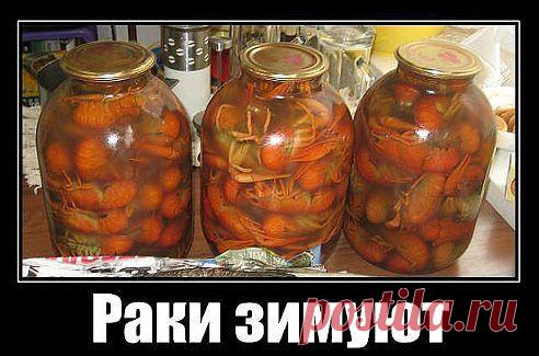 ★ СИМ - САЛАБИМ ★   обо всем с улыбкой ヅ ➊❽✚
Остап-Сулейман Бендер-Бей