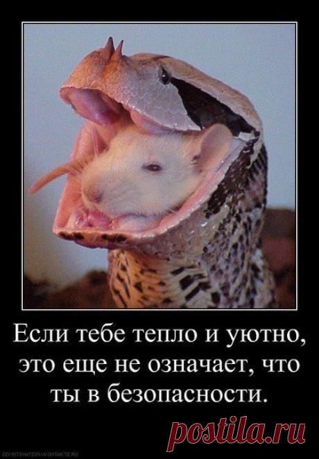 Фотографии на стене сообщества | 8 214 фотографий