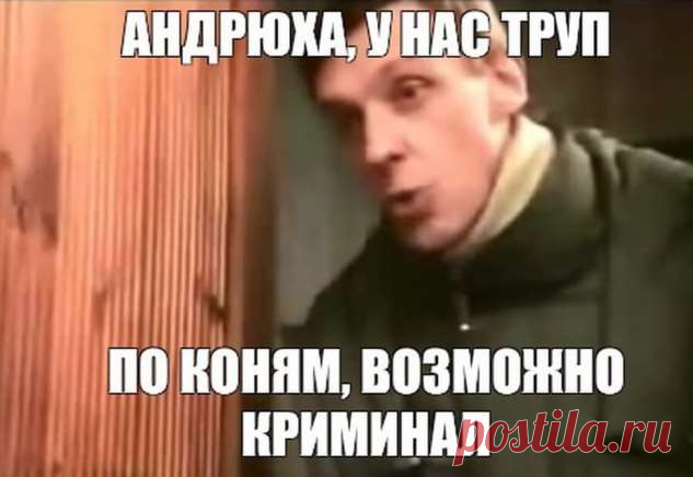 Андрюха, у нас труп! Возможно, криминал! По коням! . Тут забавно !!!