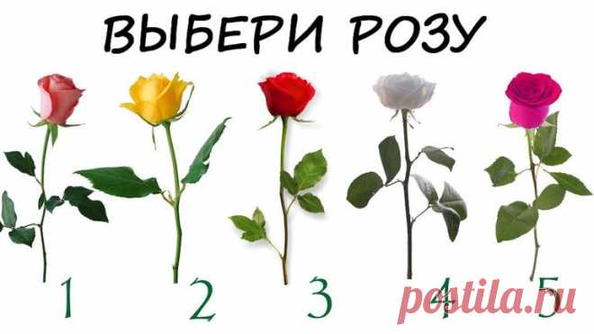 Сбудется ли Ваше желание? Выберите розу и узнайте