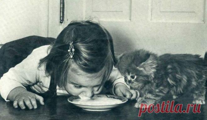 Прикольные картинки (29 фото) - Нет скуки.ру - Подборка прикольных и смешных картинок. Хорошего настроения от просмотра подборки картинок.