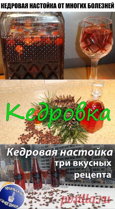 (5) Одноклассники