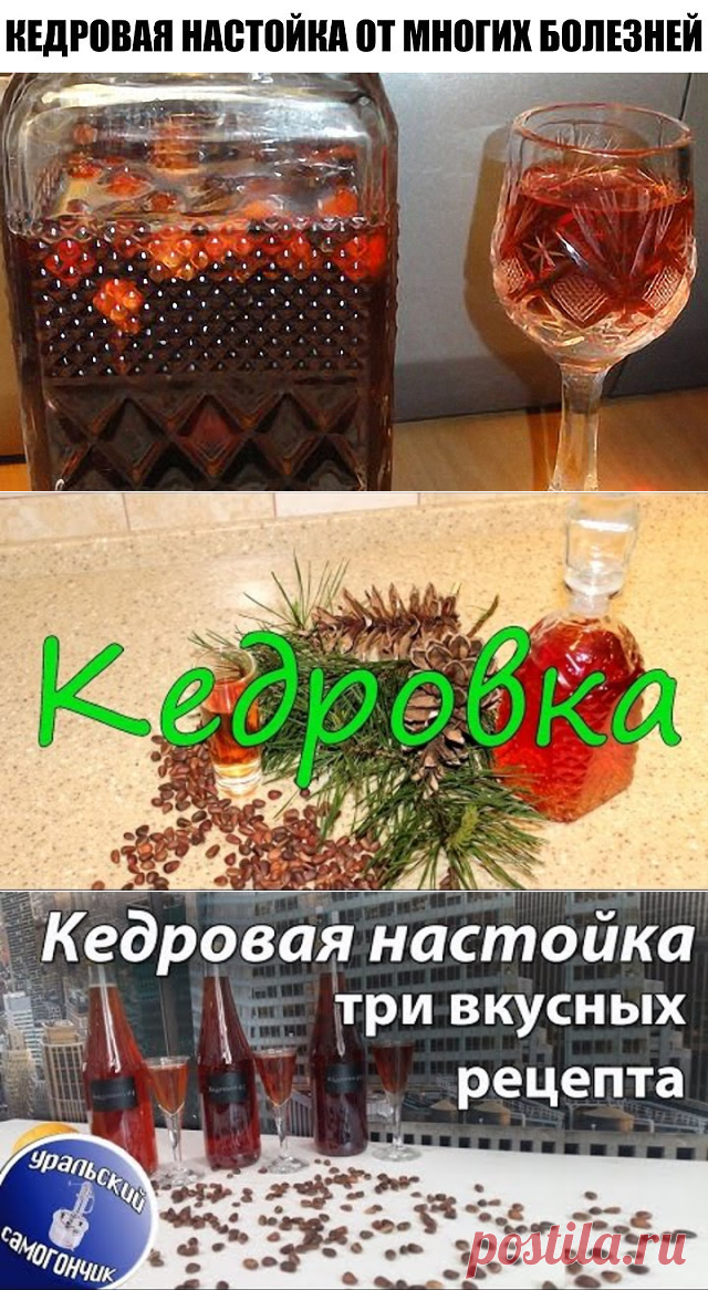 (5) Одноклассники