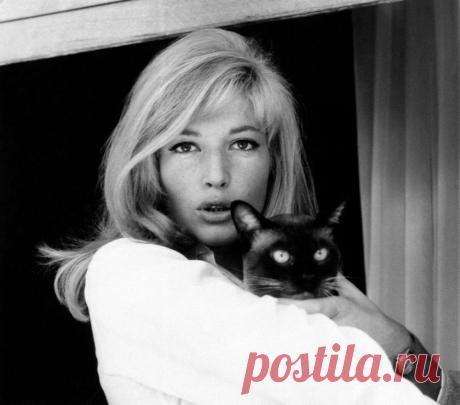 Monica Vitti. Моника Витти
