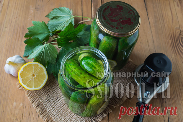 Маринованные огурцы на зиму в литровых банках без уксуса | 8 Ложек