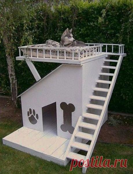 УЮТНЫЙ БЕЛЫЙ ДОМ