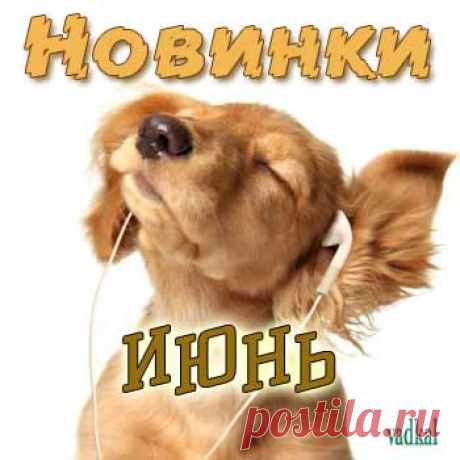Сборники mp3 на разные темы