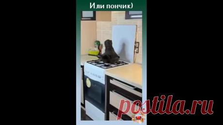 Самый сладкий блинчик!