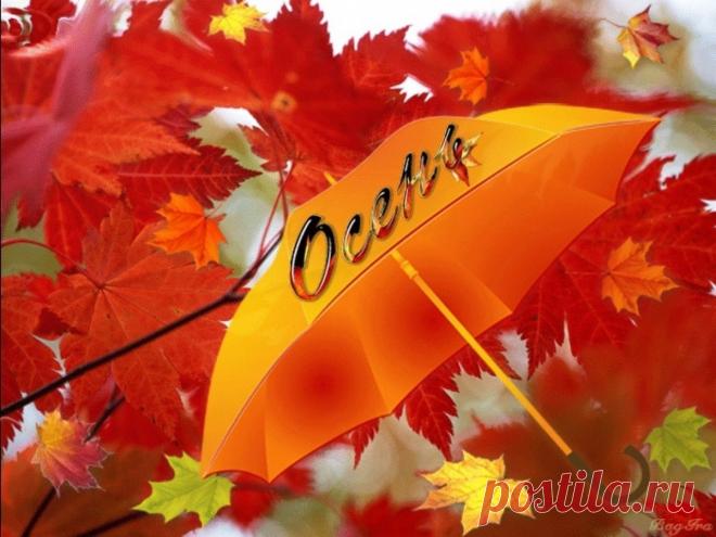 ОЖИДАНИЕ ОСЕНИ ~ Открытка (плейкаст)