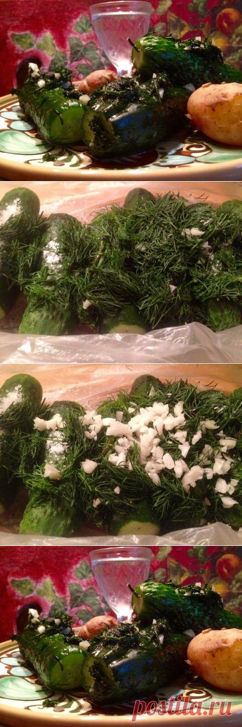 Быстрые малосольные огурцы в пакете | 4vkusa.ru