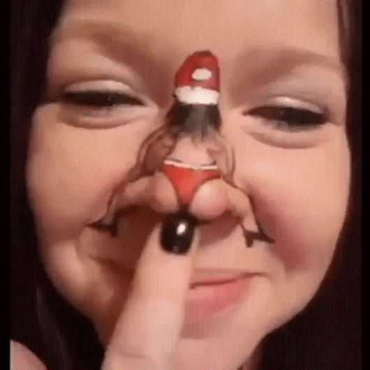ЖИВЫЕ ФОТОГРАФИИ. AMAZING GIF. – Google+