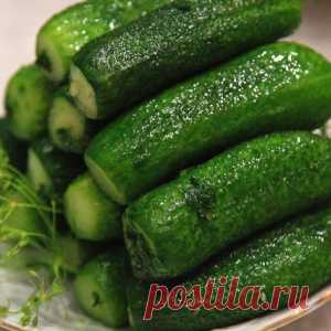 Шесть лучших рецептов малосольных огурцов на любой вкус - МирТесен