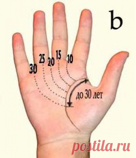 (48) Pinterest
