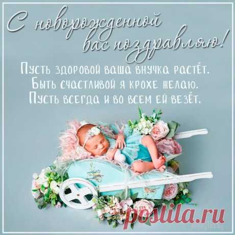 С внучкой вас я поздравляю,
Здравия огромного желаю,
Чтобы было с ней легко,
И всегда было светло.
