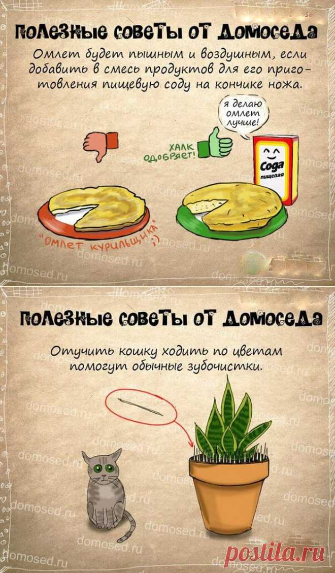 Супер полезные советы - Болтай