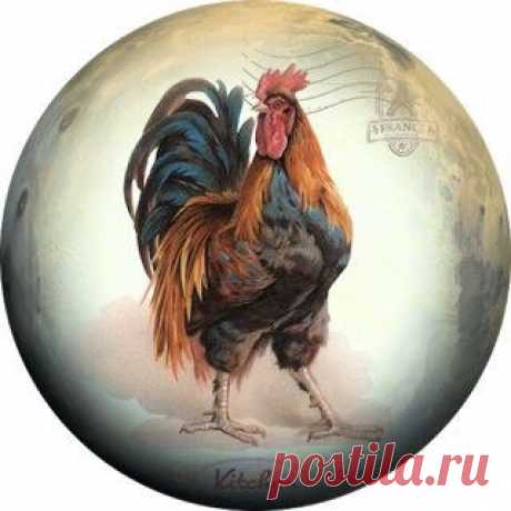 Диана Январева