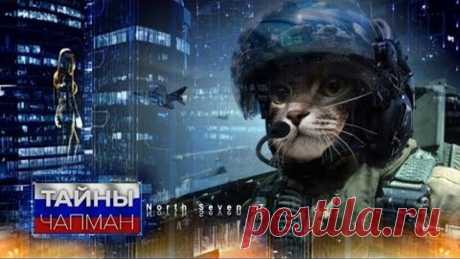 Тайны Чапман. Хвостатые террористы
