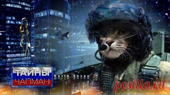 Тайны Чапман. Хвостатые террористы