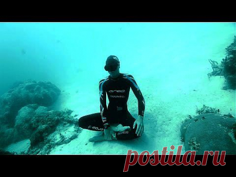 One Breath - The Story of William Trubridge (Shorter Version) by Nicolas Rossier - YouTube