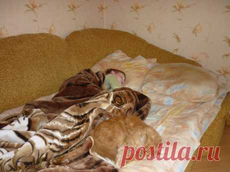 Спят усталые детишки.