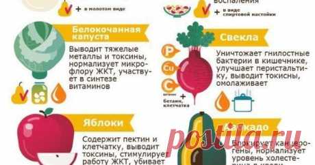 Здоровье
