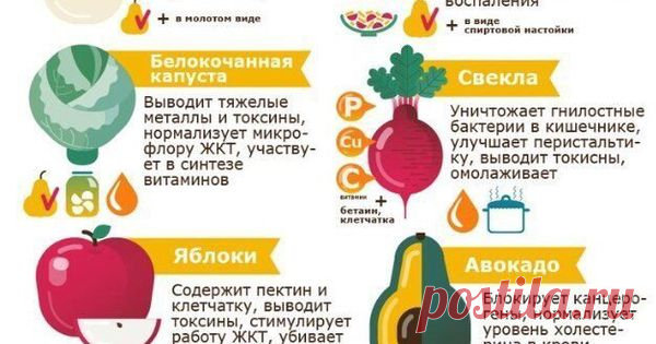 Здоровье