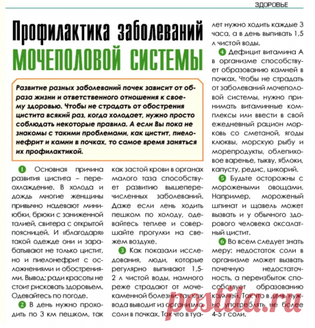Профилактика заболеваний мочеполовой системы