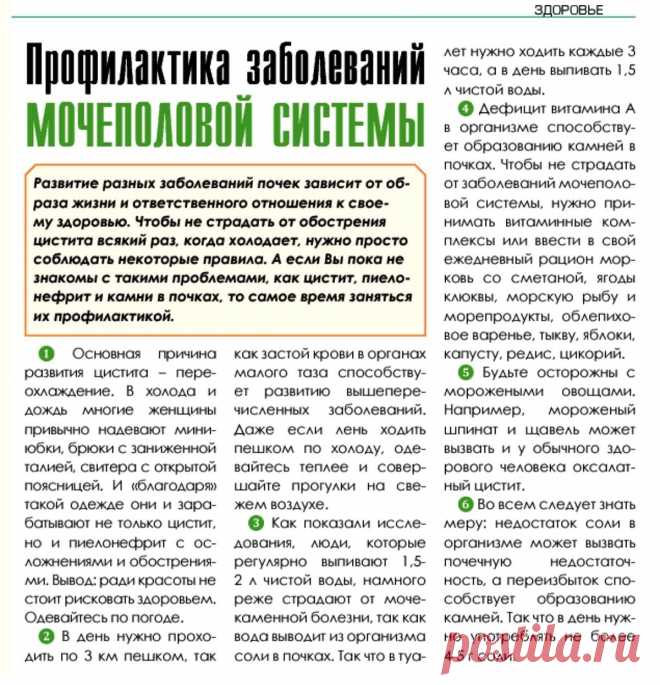 Профилактика заболеваний мочеполовой системы