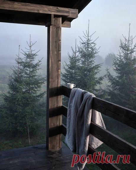 (20) Одноклассники