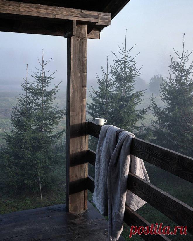 (20) Одноклассники