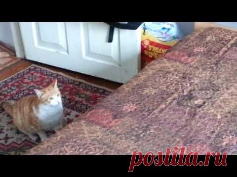 Живите трезво!