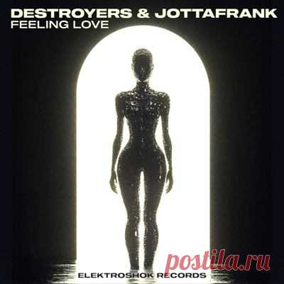Destroyers, JottaFrank - Feeling Love
