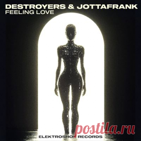 Destroyers, JottaFrank - Feeling Love