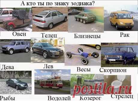 смешные гороскопы по знакам зодиака: 10 тыс изображений найдено в Яндекс.Картинках