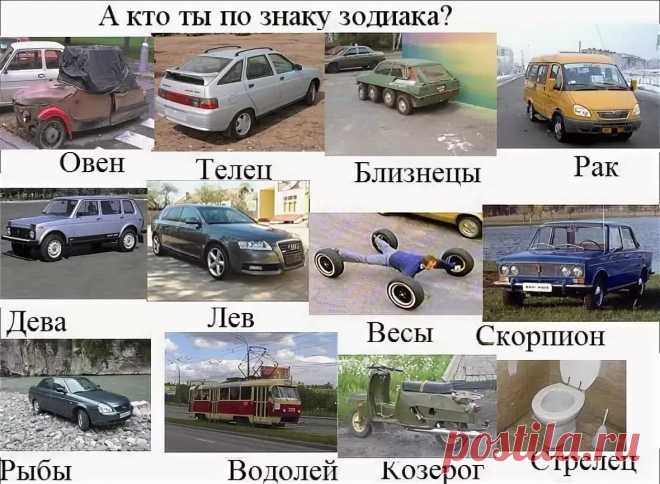 смешные гороскопы по знакам зодиака: 10 тыс изображений найдено в Яндекс.Картинках