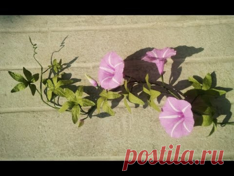 ABC TV | How To Make Cairo Morning Glory Paper Flowers From Crepe Paper - Craft Tutorial