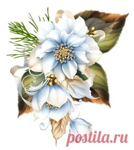 (24) Pinterest
